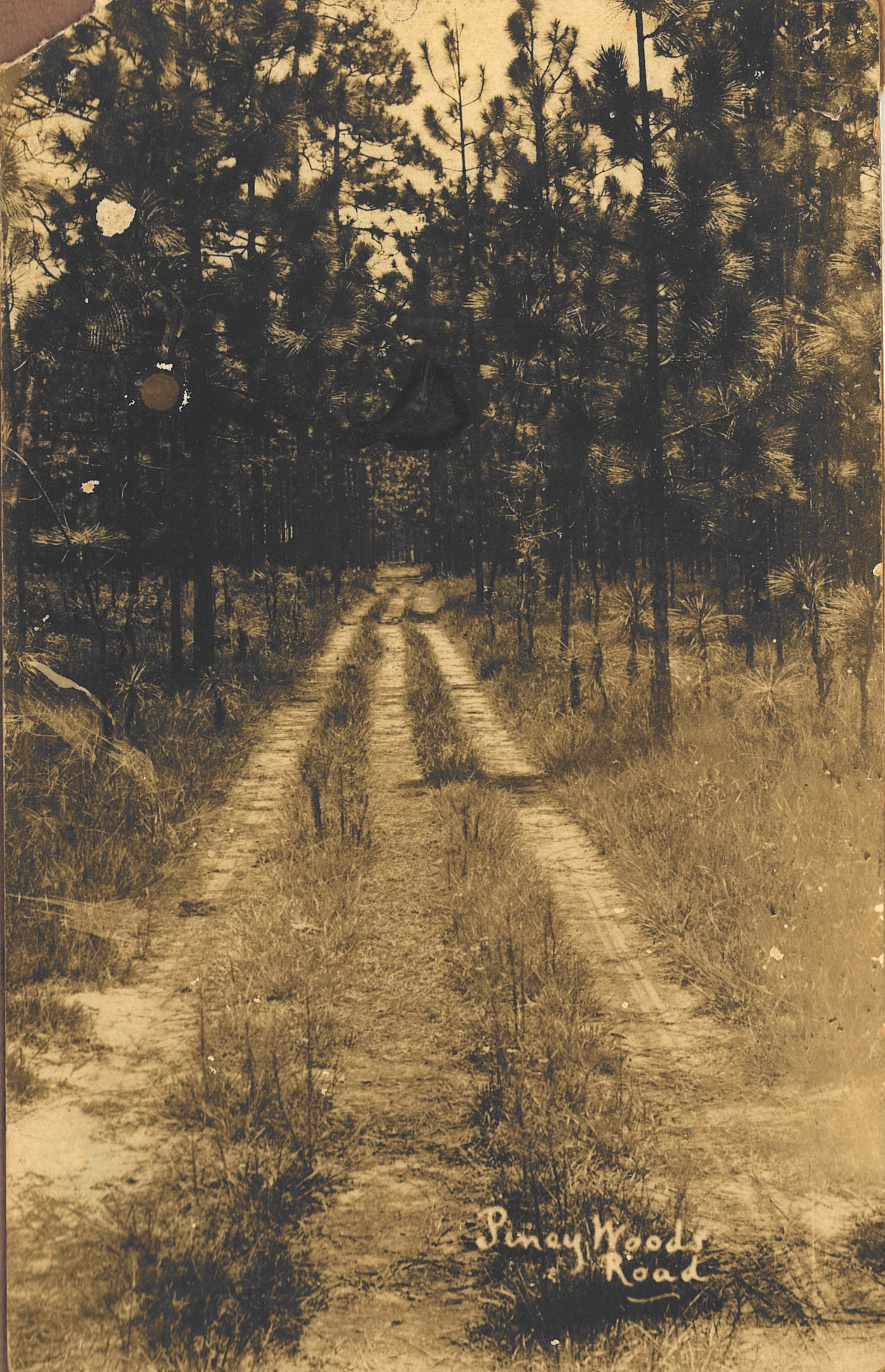 Piney Woods Road Free Download, Borrow, and Streaming Archive